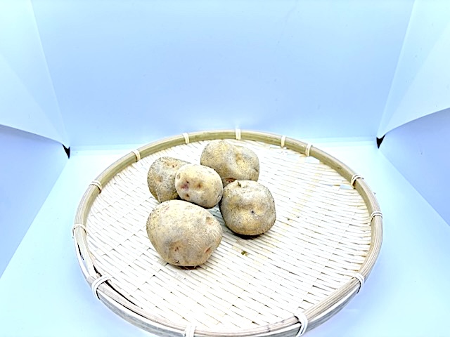 じゃがいも（きたあかり）（500g）