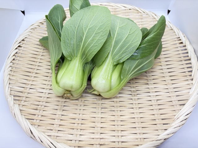 チンゲン菜（200g）