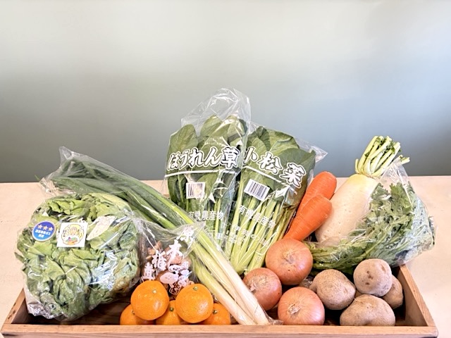 【1回購入】季節のあんしん野菜10～12品目セット〈ファミリア〉