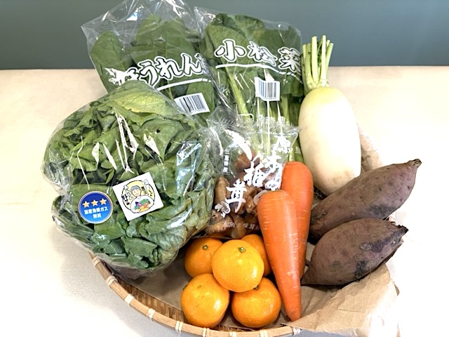 【定期購入】季節のあんしん野菜8～9品目セット〈アモーレ〉