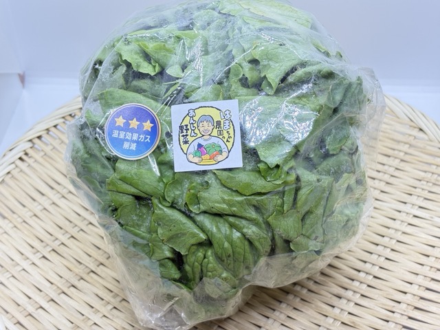 レタス（300g）袋入り