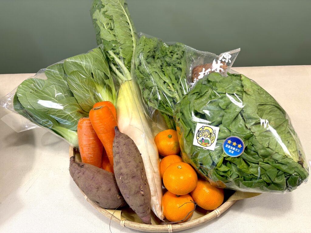 【1回購入】季節のあんしん野菜8～9品目セット〈アモーレ〉