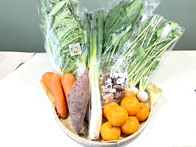 季節のあんしん野菜8～9品目セット〈アモーレ〉