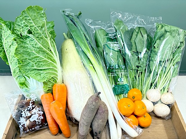 季節のあんしん野菜10～12品目セット〈ファミリア〉