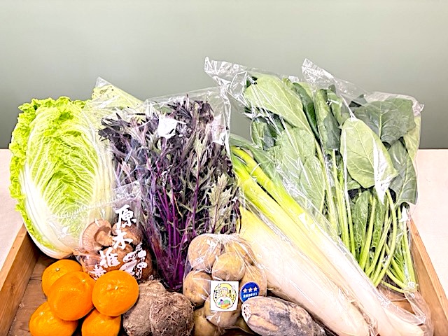 季節のあんしん野菜10～12品目セット〈ファミリア〉